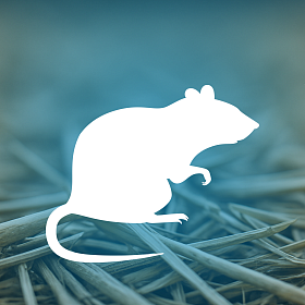 Препараты специального назначения